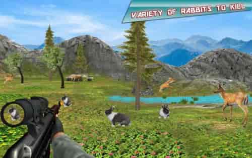 兔子狩猎模拟器2