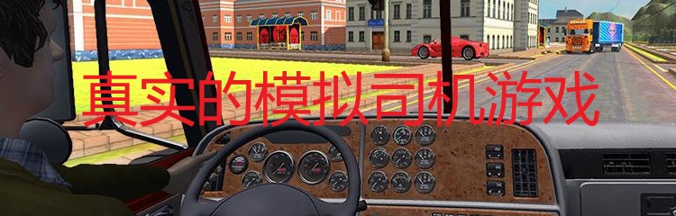 真实的模拟司机游戏