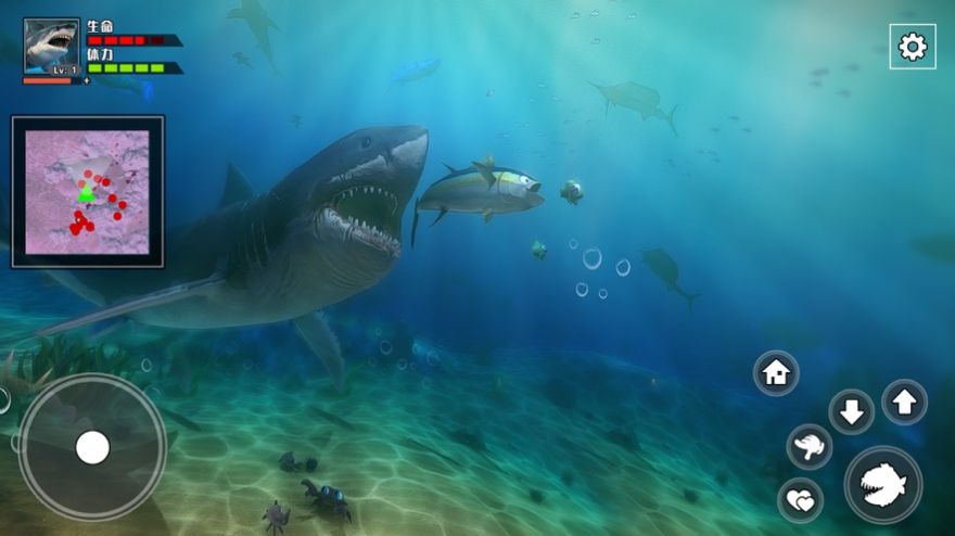 3D海底大猎杀饥饿鲨2