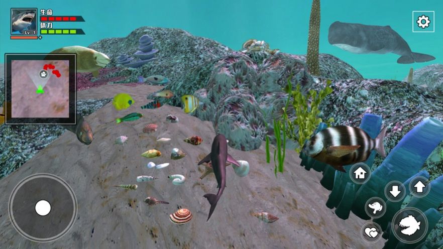 3D海底大猎杀饥饿鲨3